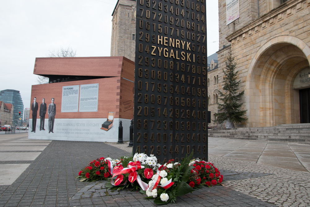 enigma - Karolina Rej