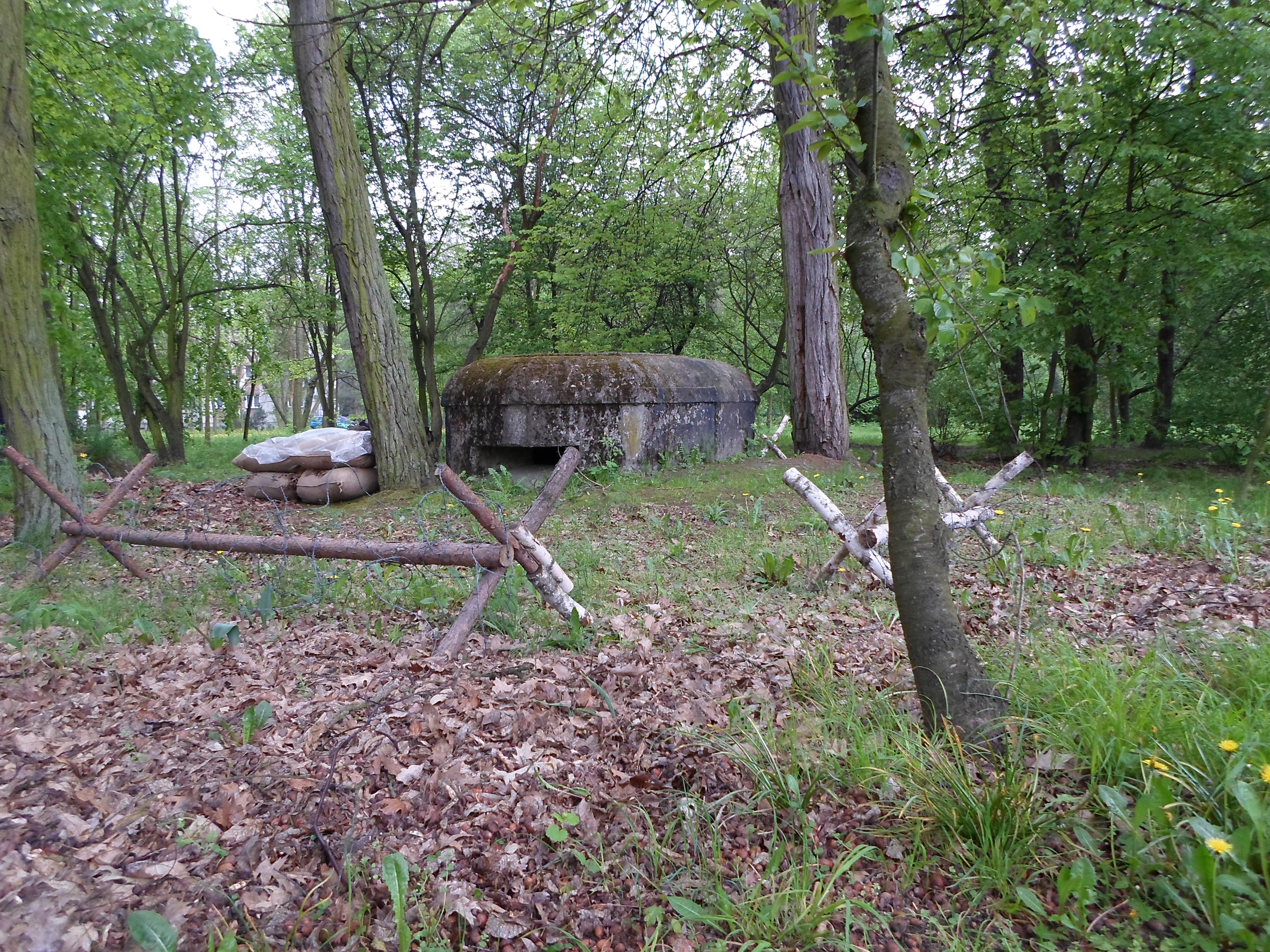 schron nr 10 linia maginota - Danuta Synkiewicz