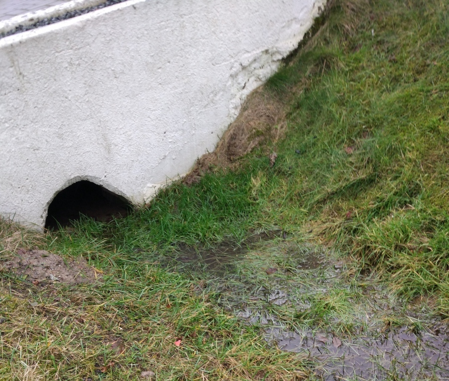 Zalana piwnica Lubasz - Przemysław Stochaj