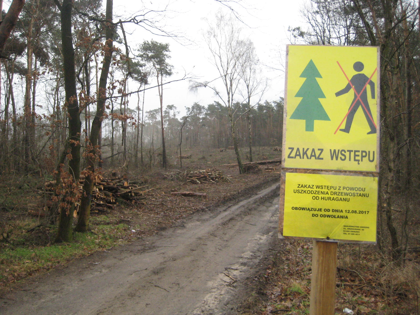 gniezno las nawałnica sprzątanie - Rafał Muniak