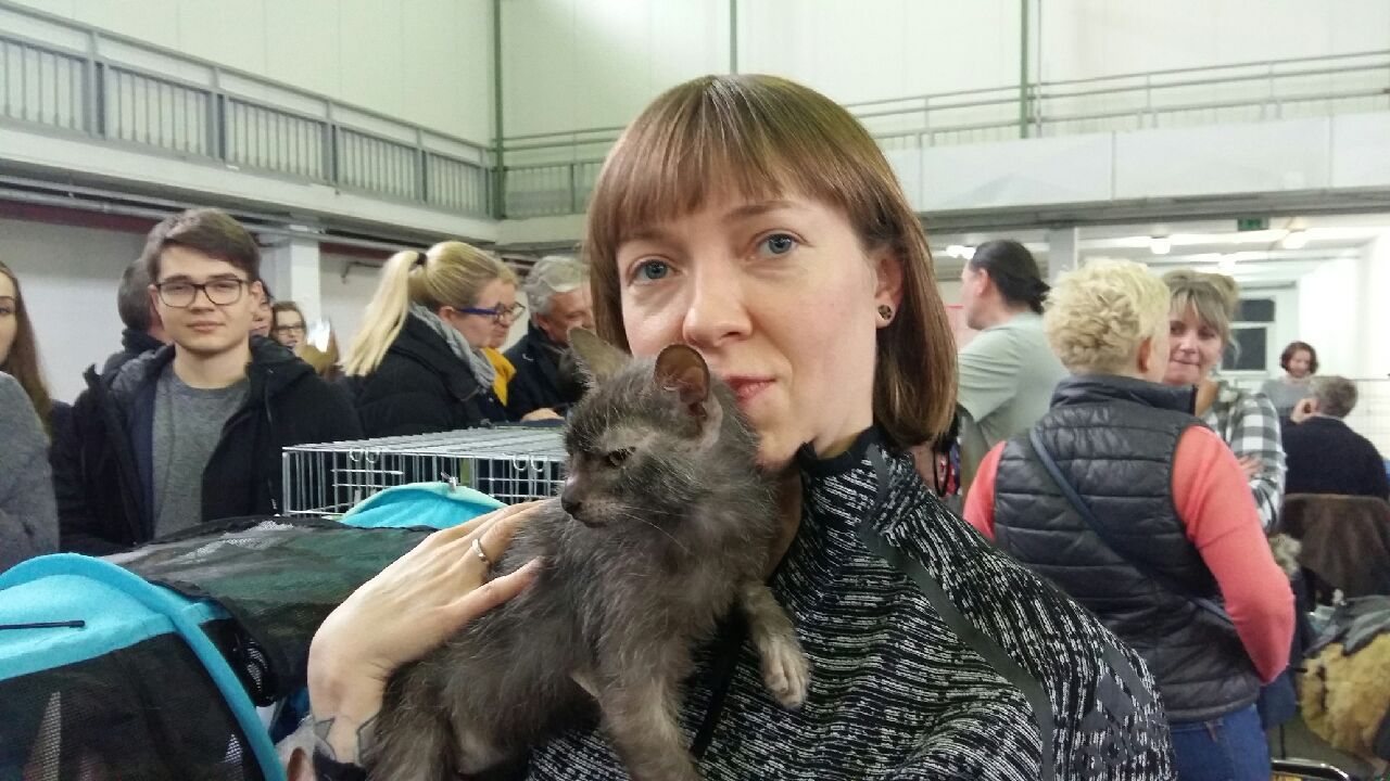 kot wilkołak wystawa - Magda Konieczna