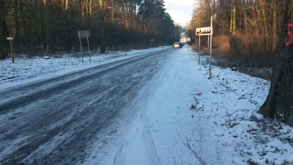 drogii zima - Jacek Butlewski