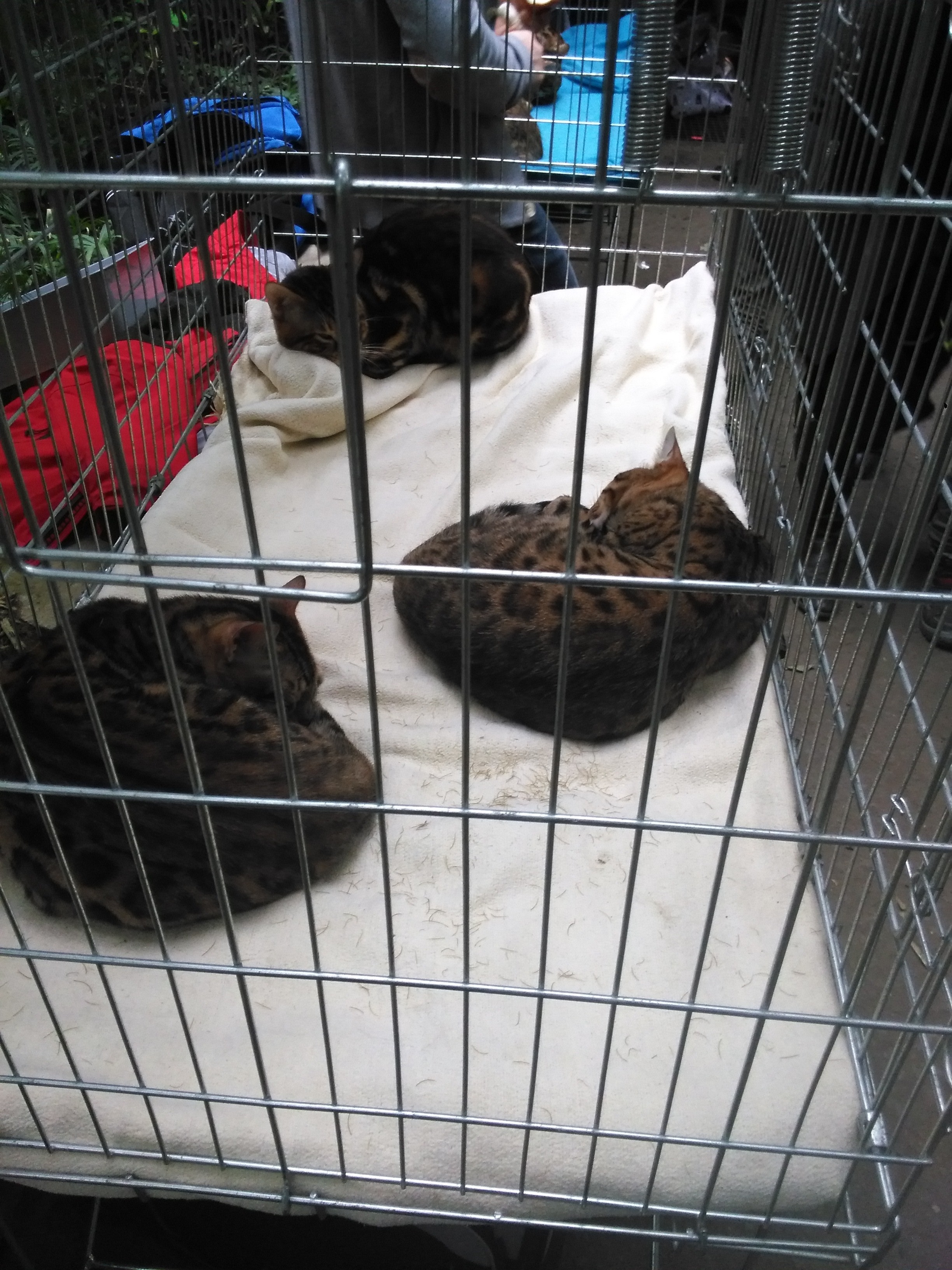 Sandra Błażejewska