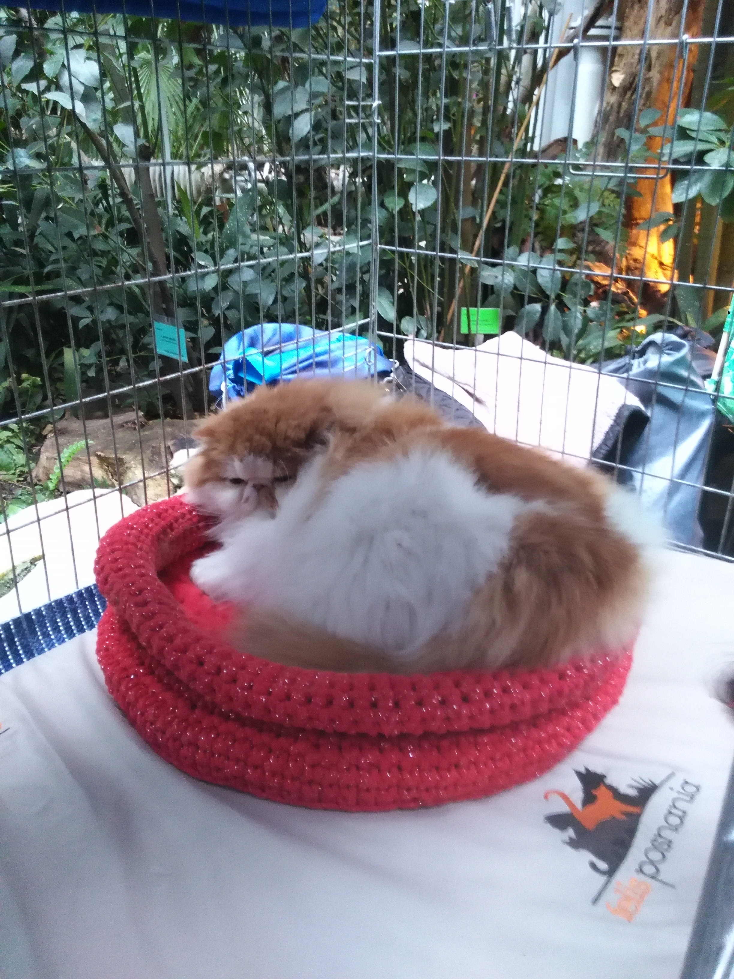 Sandra Błażejewska