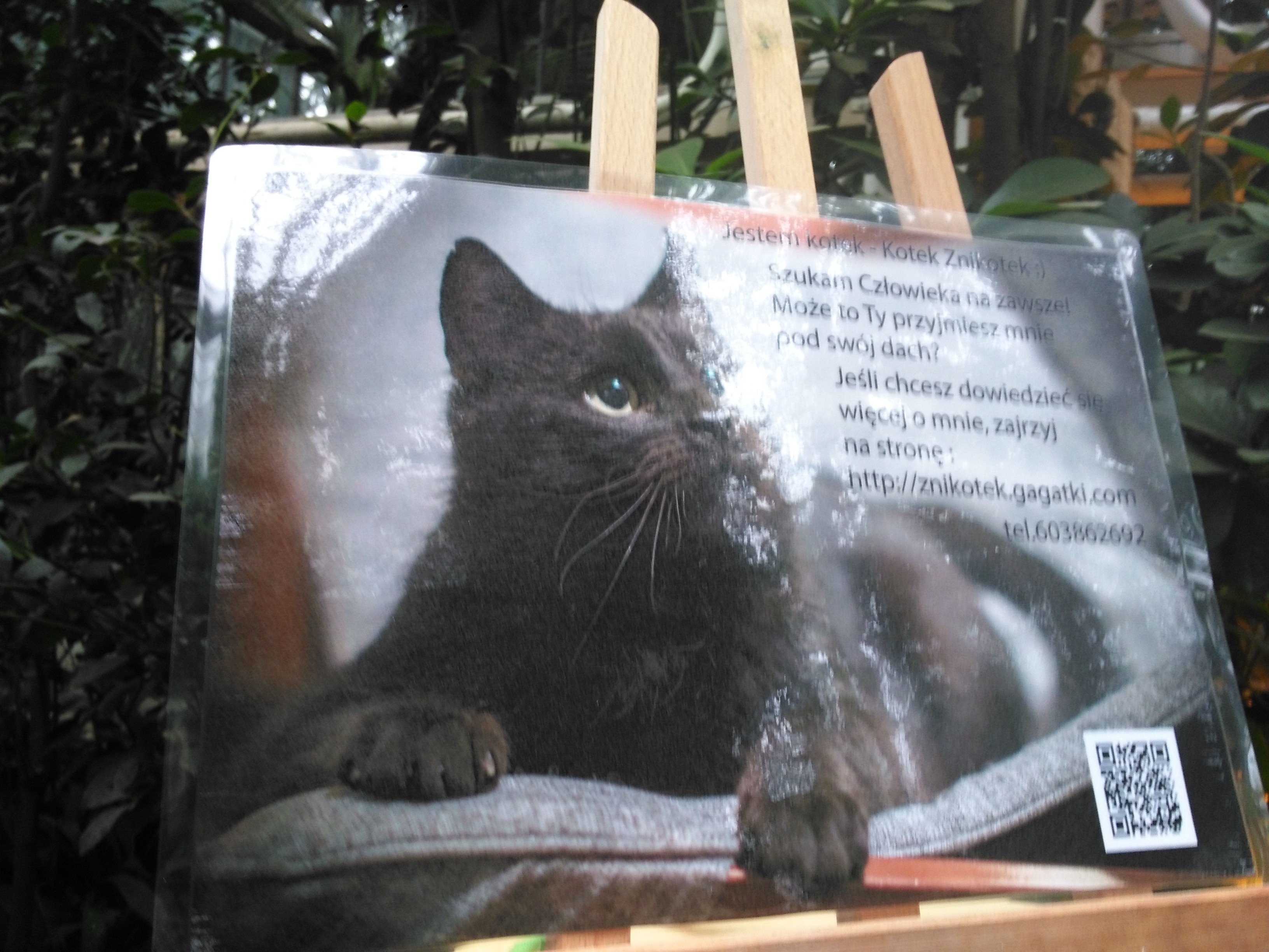 Sandra Błażejewska