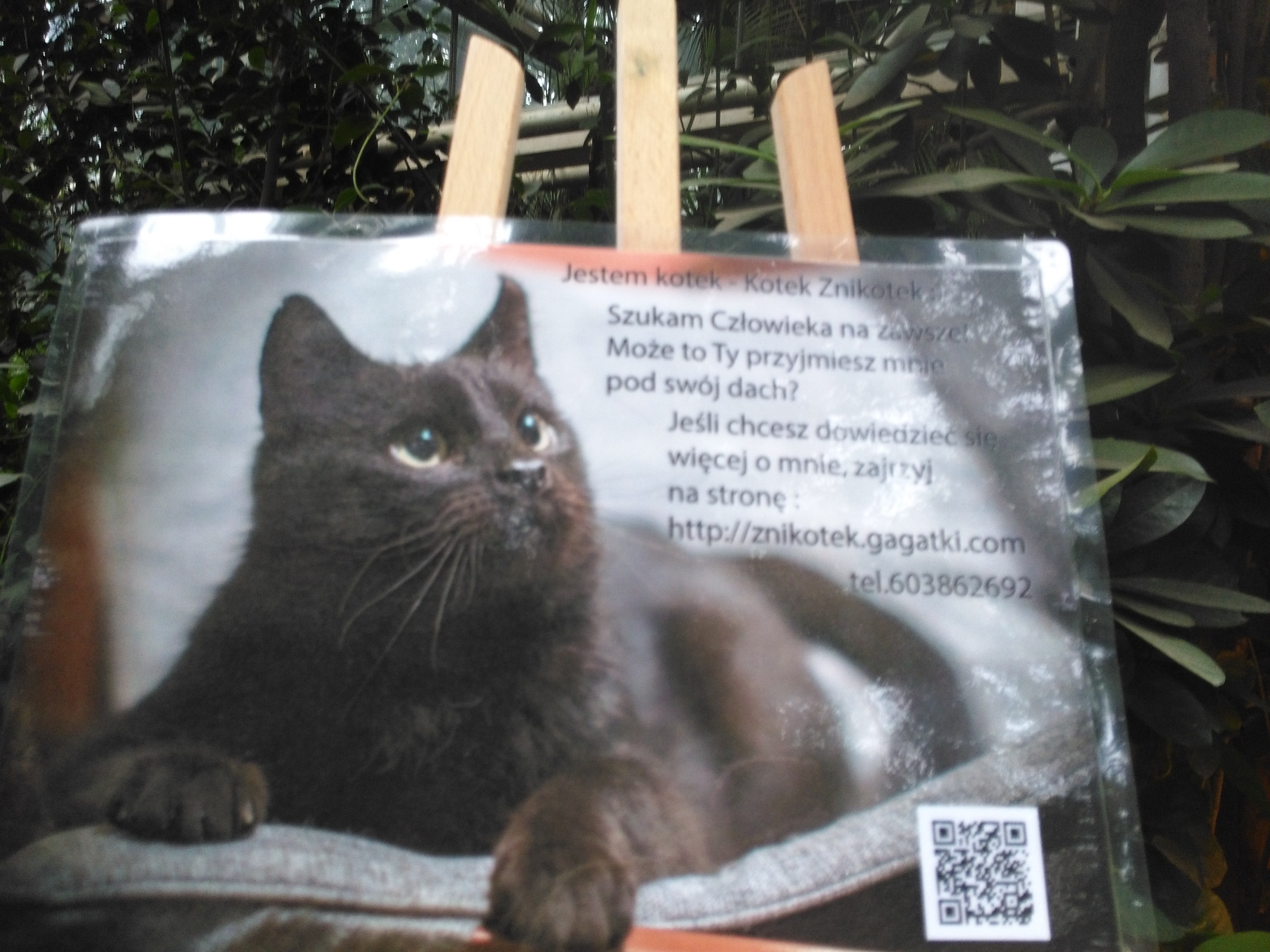 Sandra Błażejewska