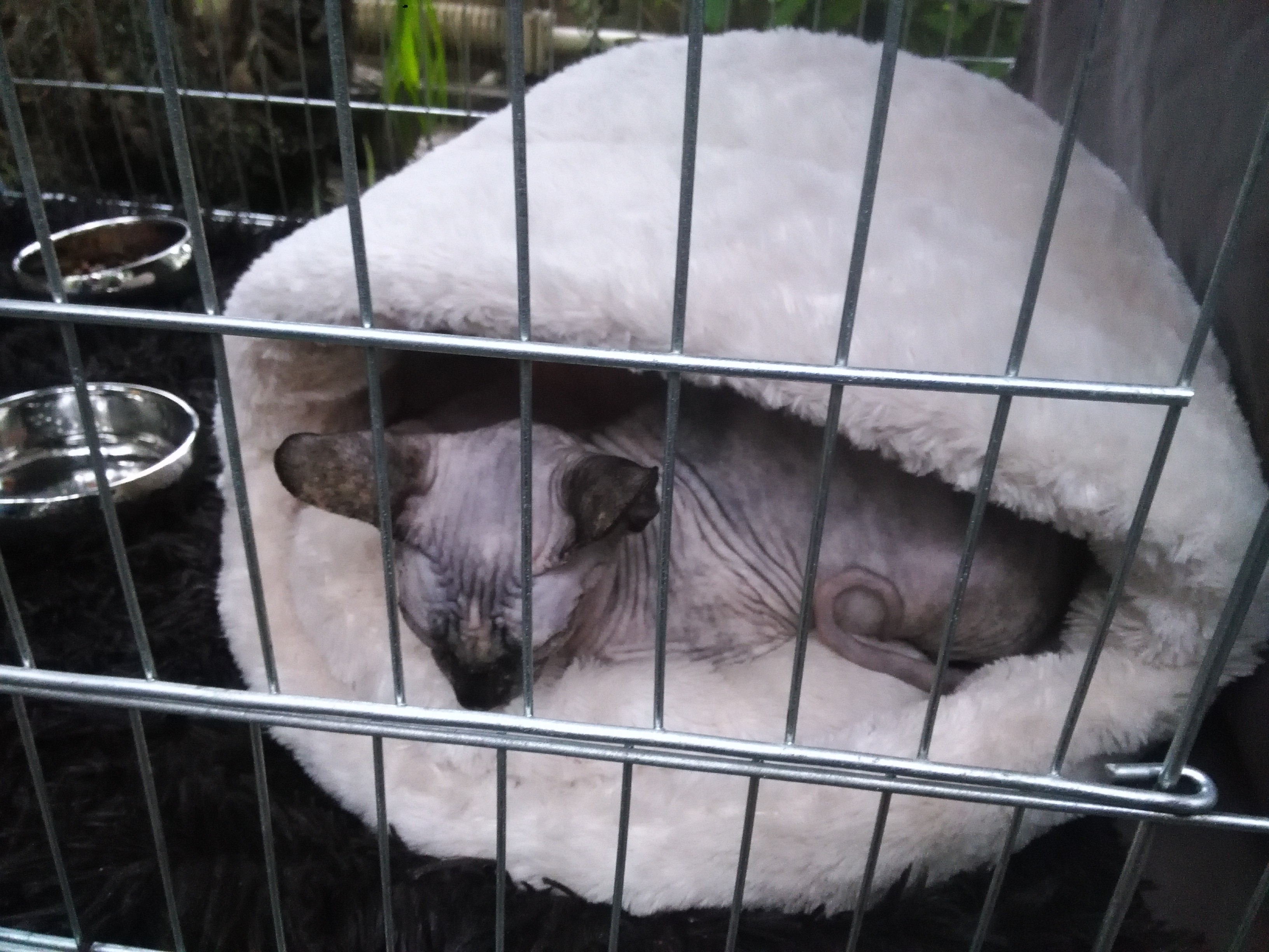 Sandra Błażejewska