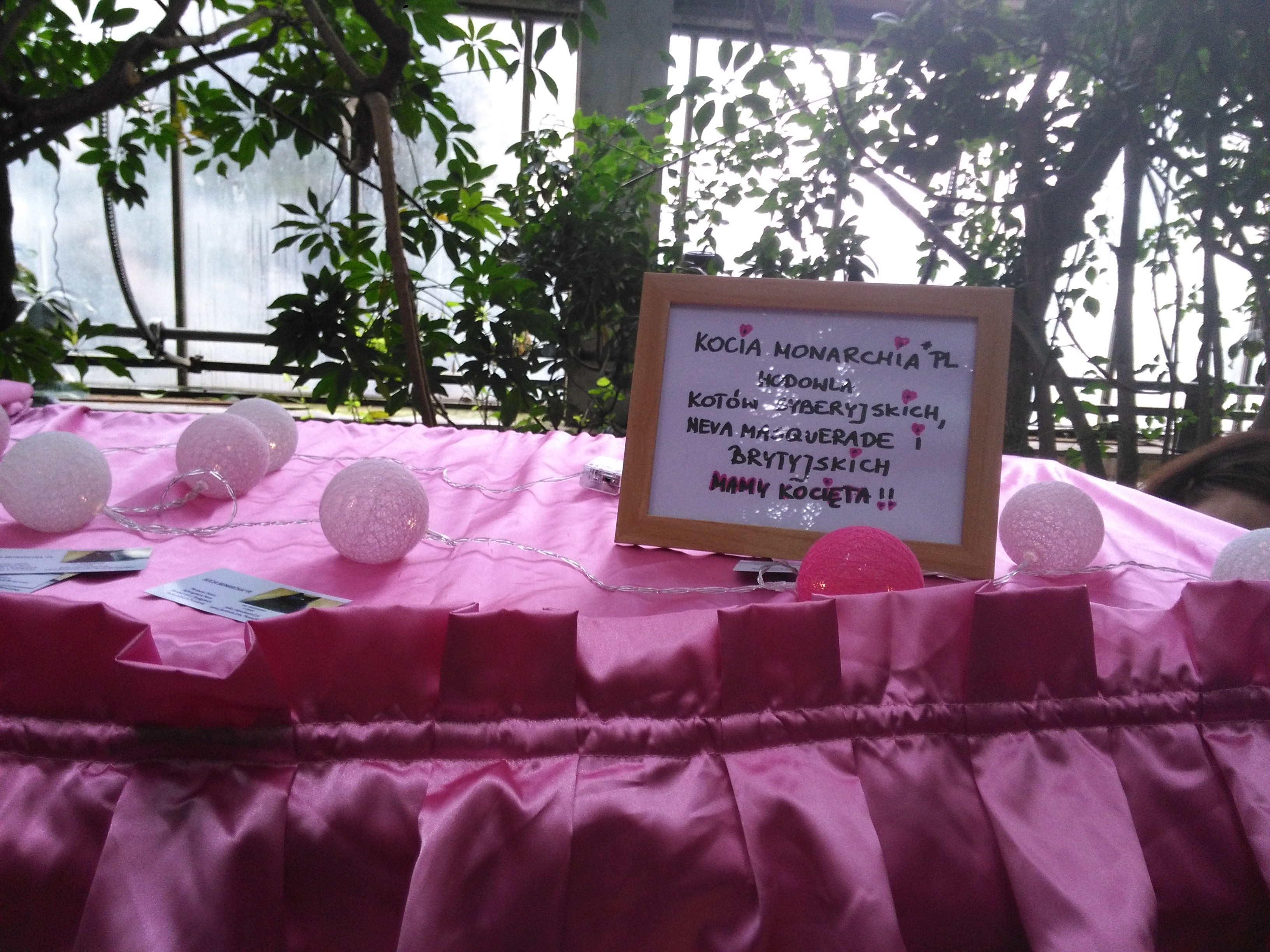 Sandra Błażejewska