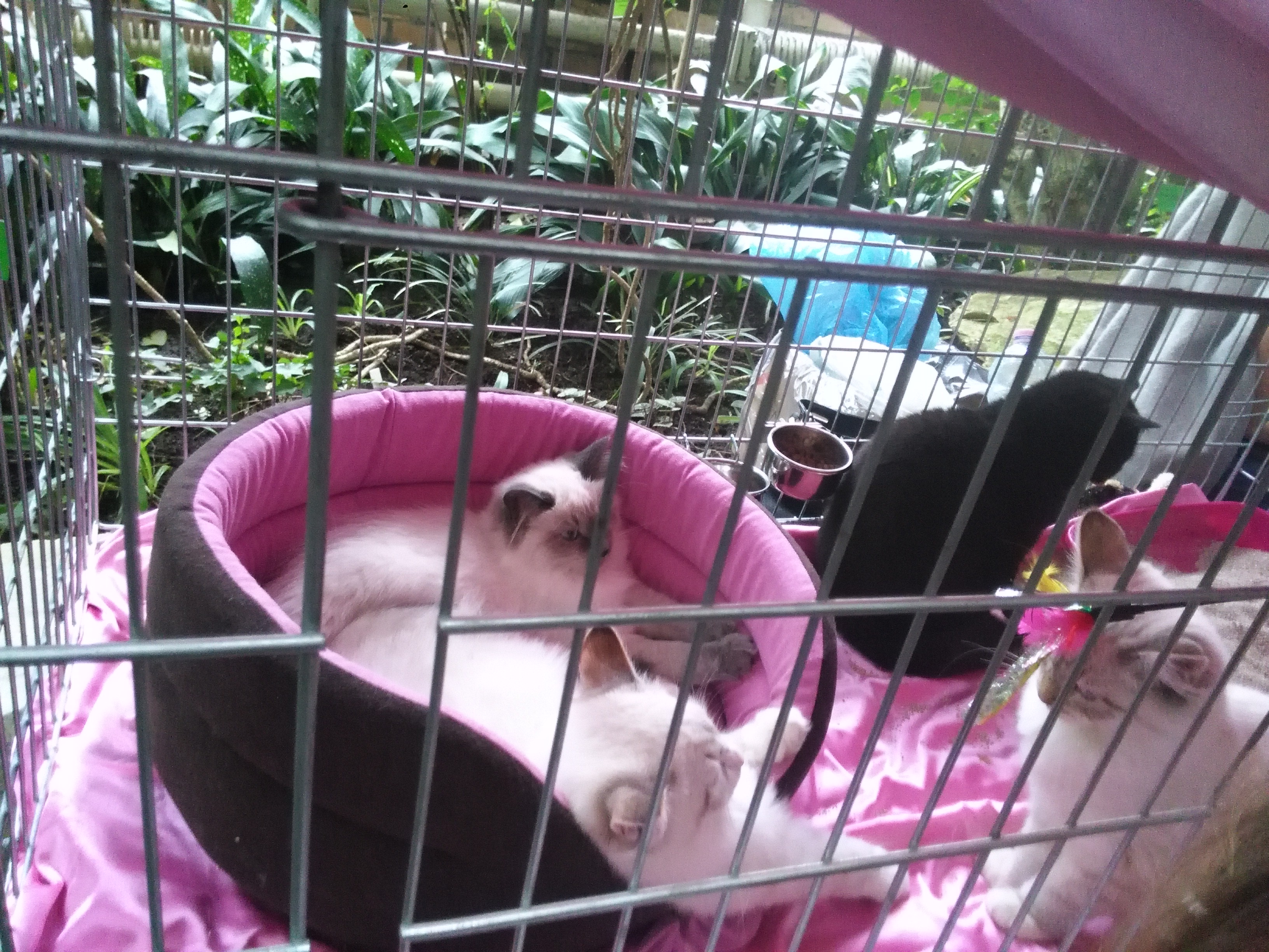 Sandra Błażejewska