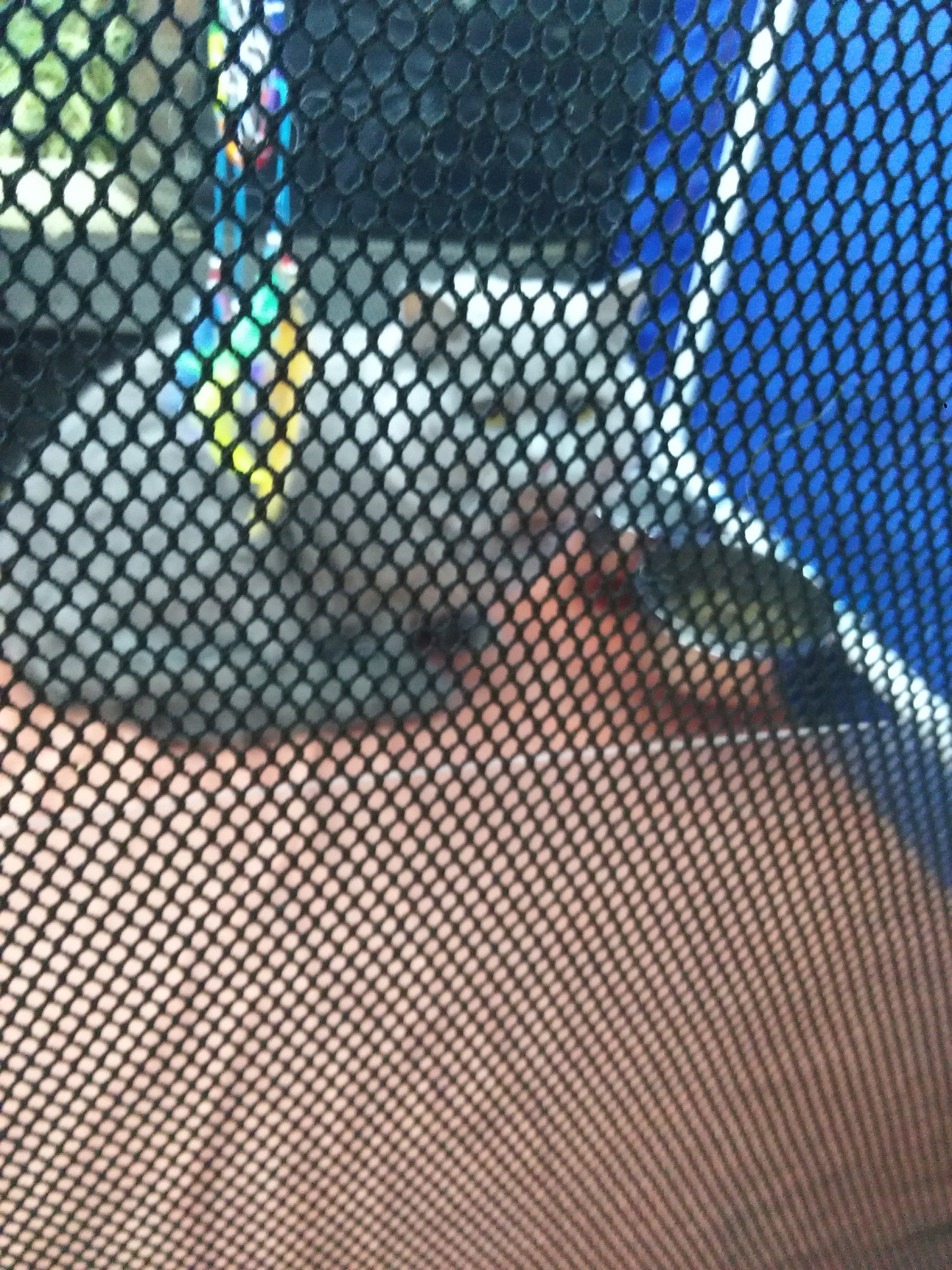 Sandra Błażejewska