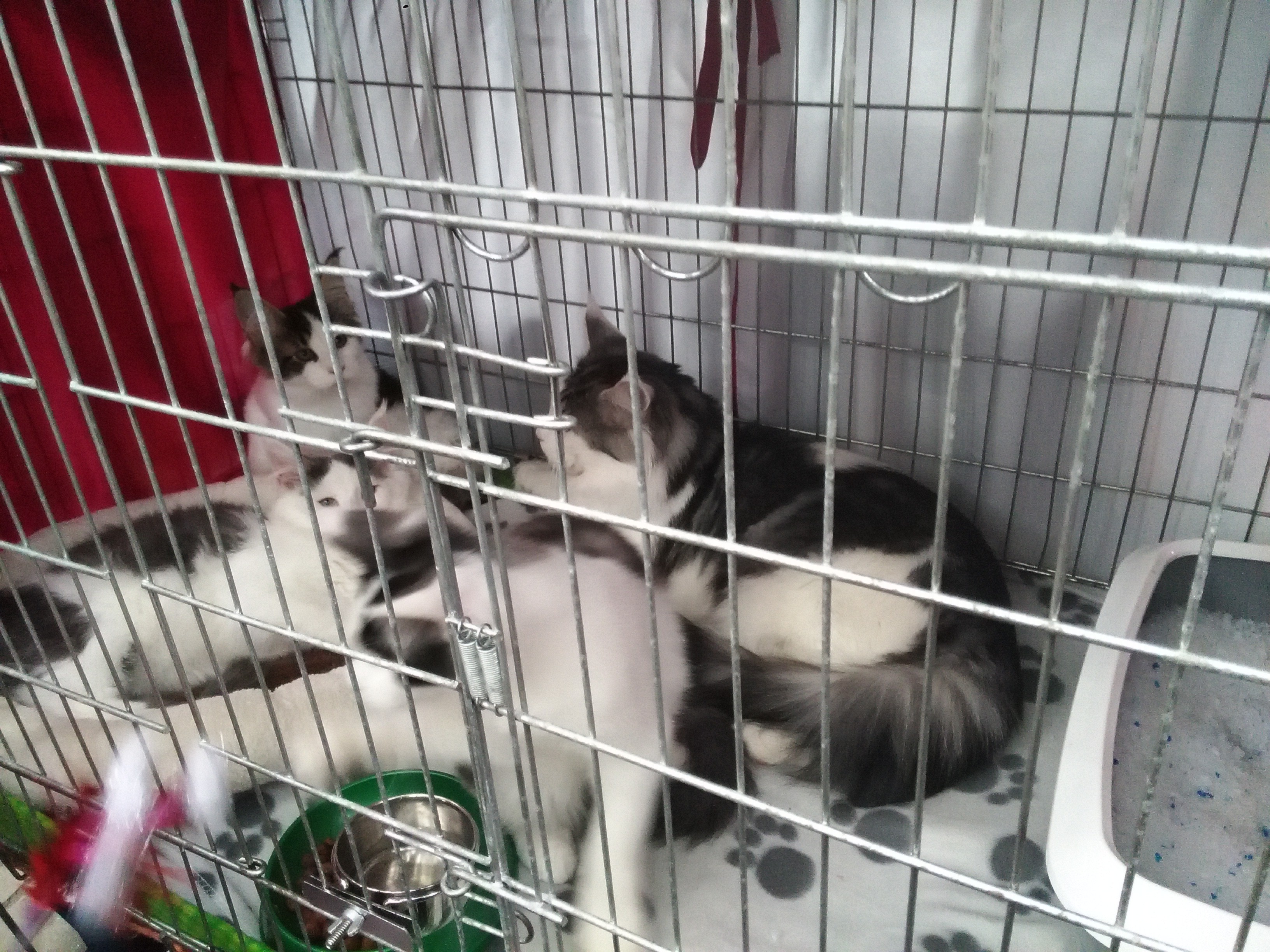 Sandra Błażejewska