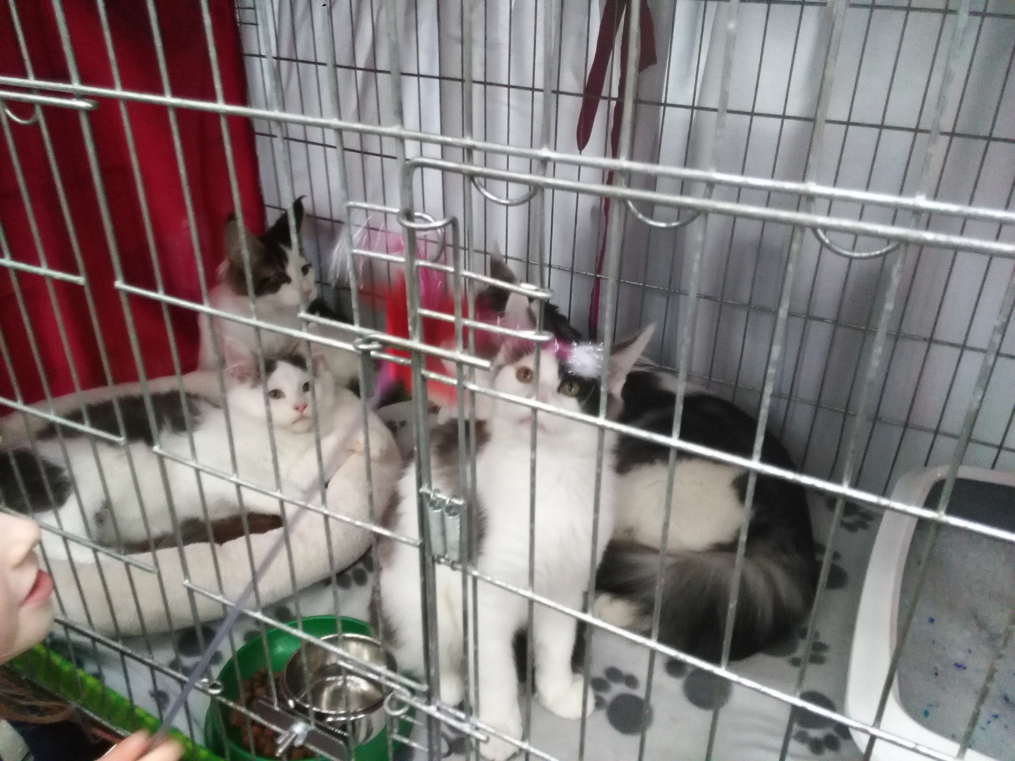 Sandra Błażejewska