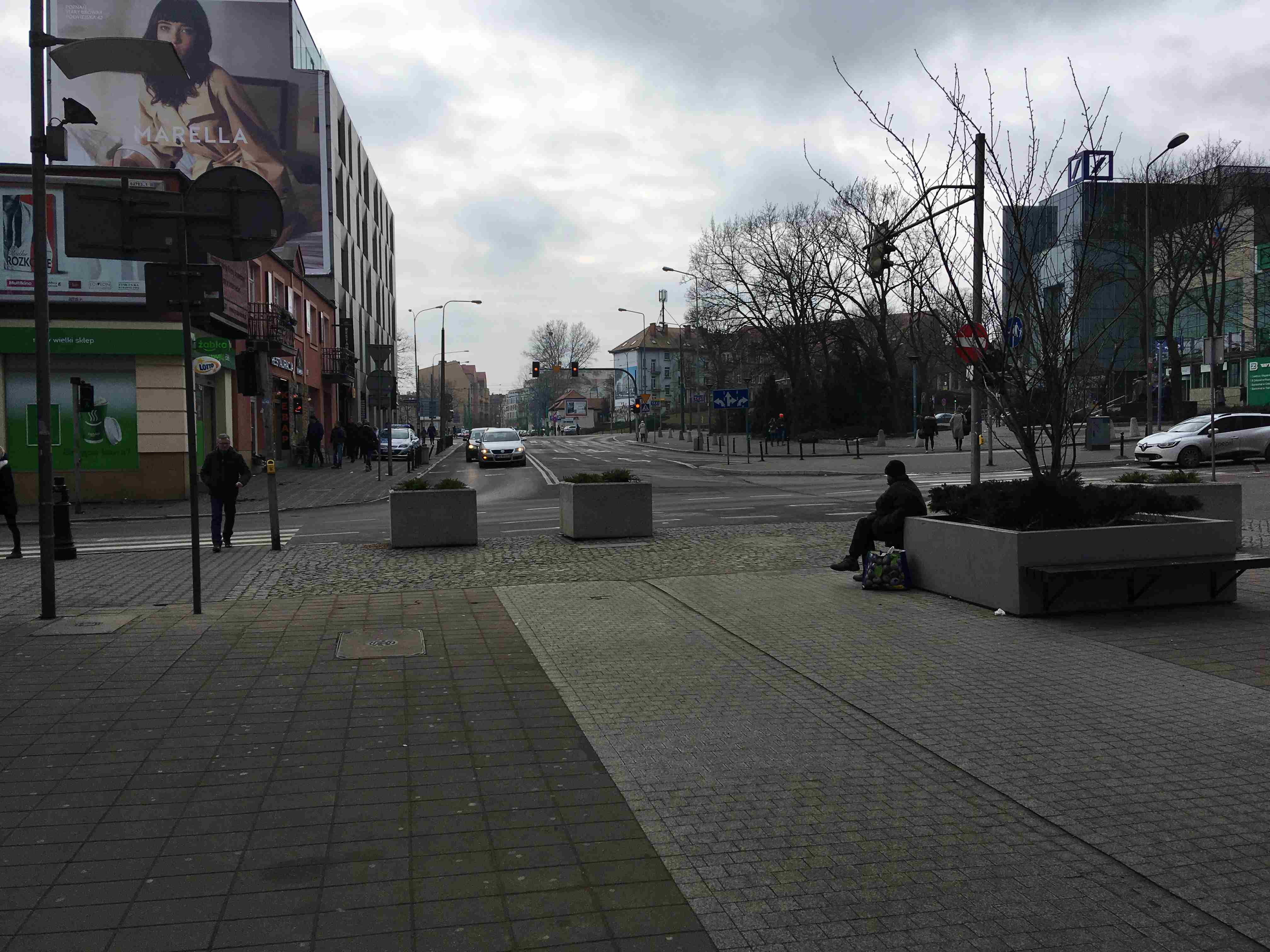 donice półwiejska - Adam Michalkiewicz