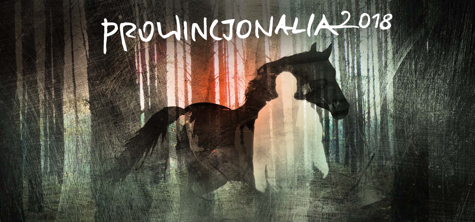 Ogólnopolski Festiwal Sztuki Filmowej Prowincjonalia - Ogólnopolski Festiwal Sztuki Filmowej Prowincjonalia