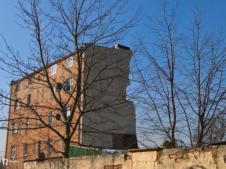 leon bielewicz - Leon Bielewicz