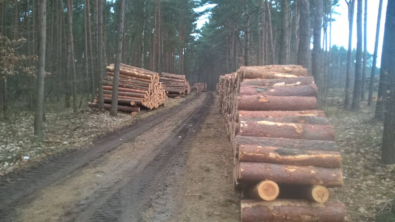 zalasewo - Lepszy Swarzędz, Facebook