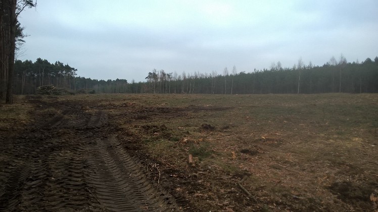 Stowarzyszenie Lepszy Swarzędz