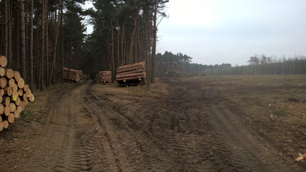 Stowarzyszenie Lepszy Swarzędz