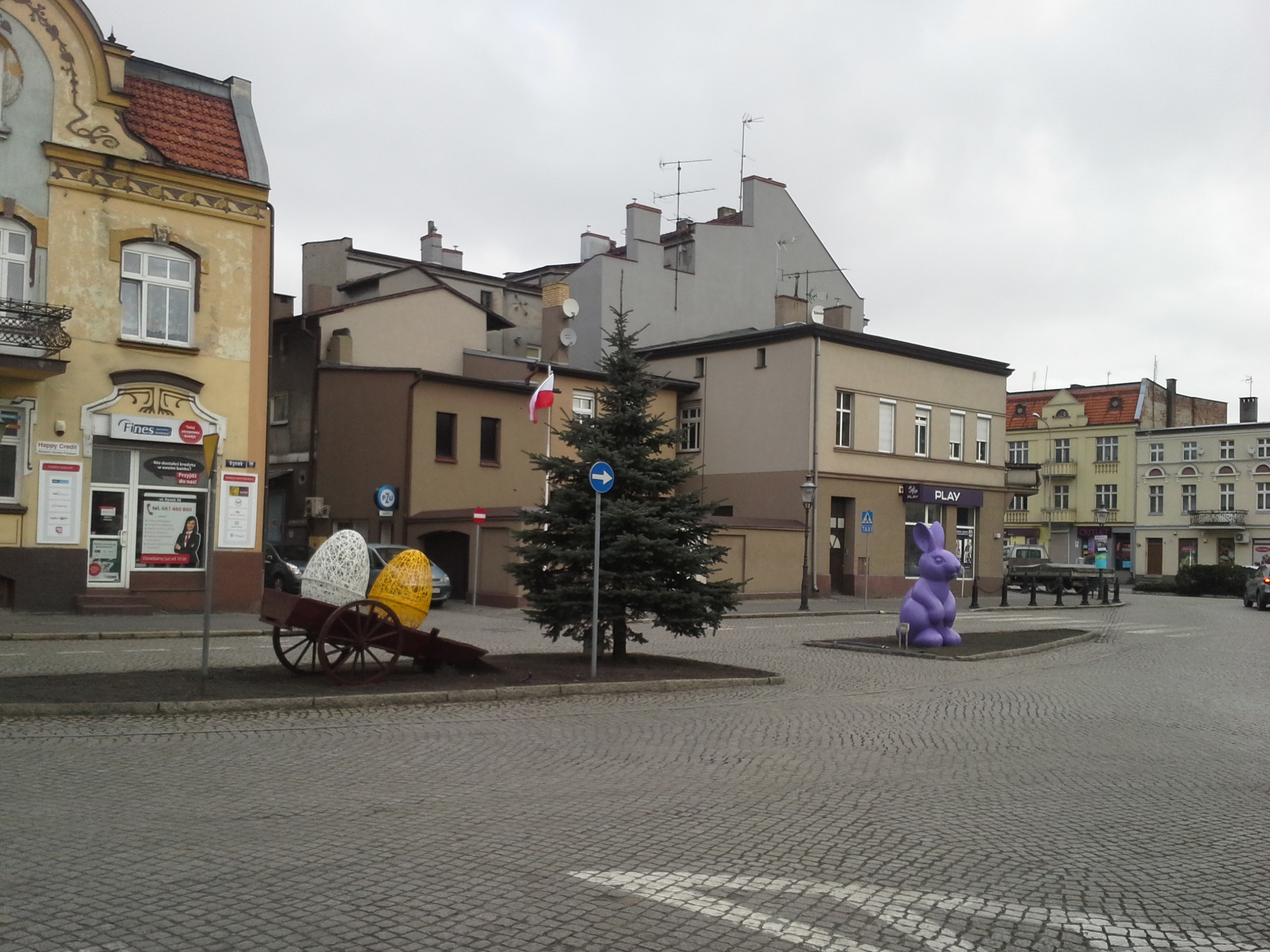 krolik1 - Andrzej Ciborski