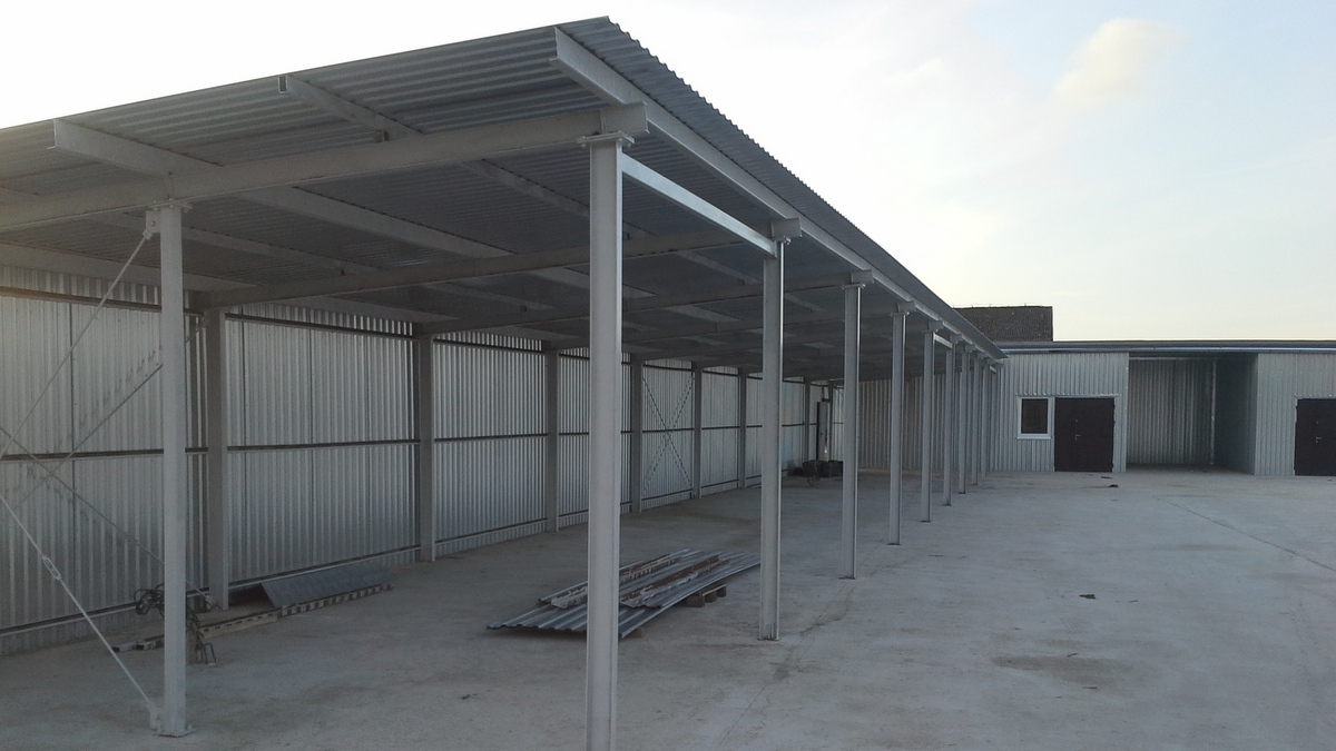 Boguniewo  - Andrzej Ciborski