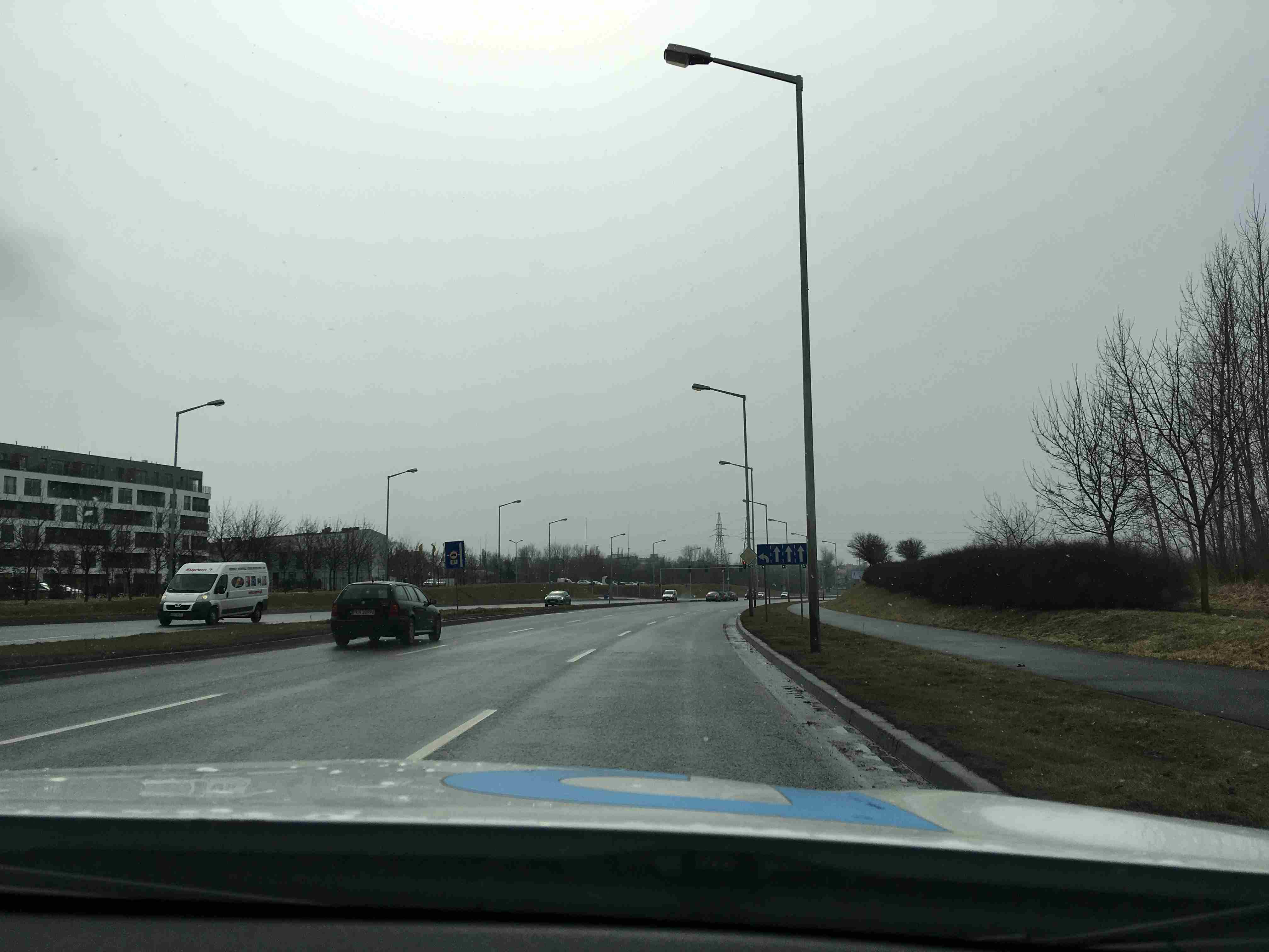 poznań brak osłon na rośliny droga wiosna cieplejszy wieje wiatr - Adam Michalkiewicz