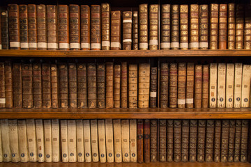 biblioteka - Fotolia