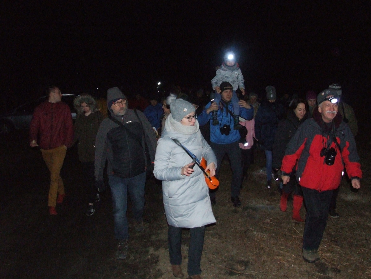 noc sów sowy - Aleksandra Braciszewska-Benkahla