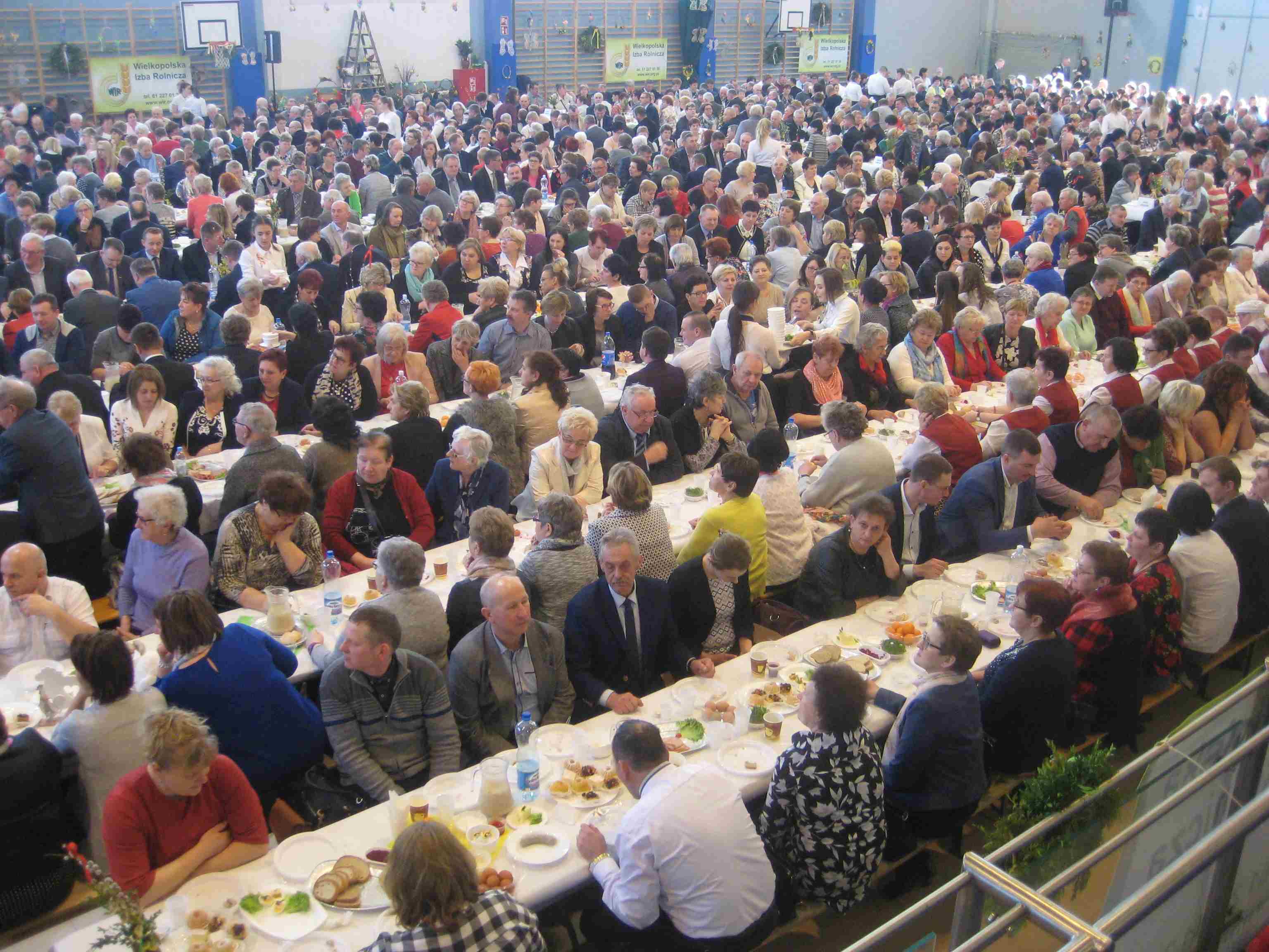 rolnicza wielkanoc środa wielkopolska - Rafał Regulski