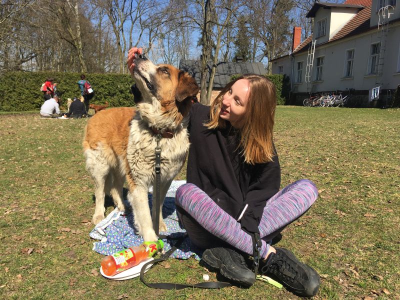 Dogtrekking na Łęgach 5 - Rafał Regulski