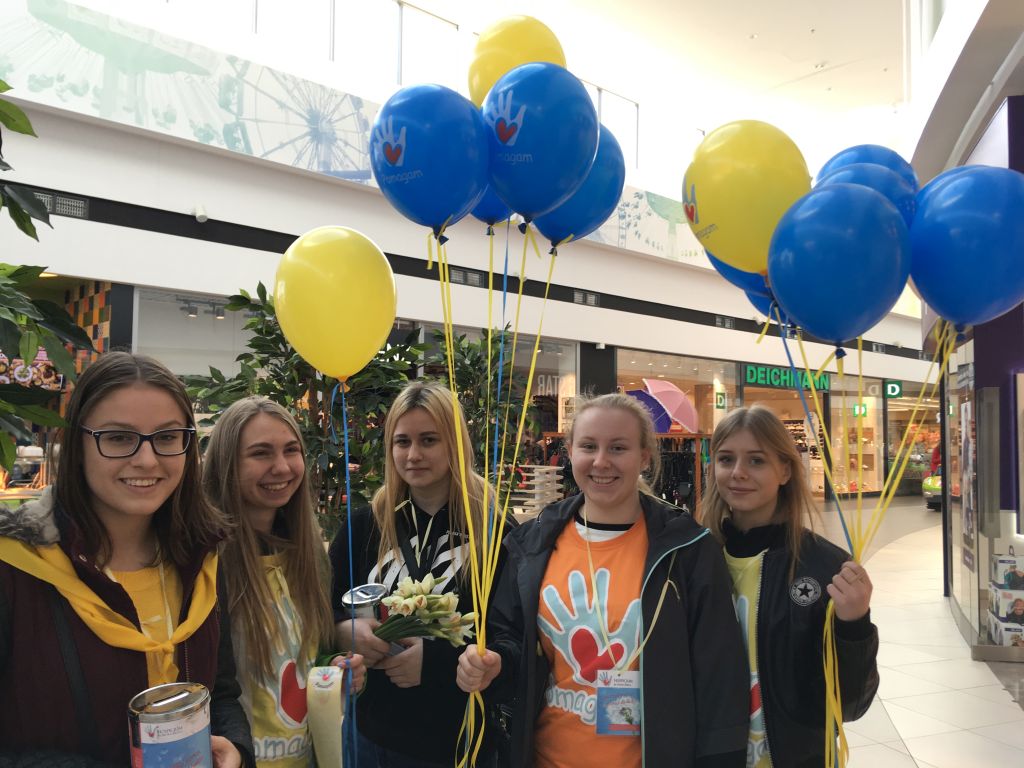 żonkile dla hospicjum - Rafał Regulski