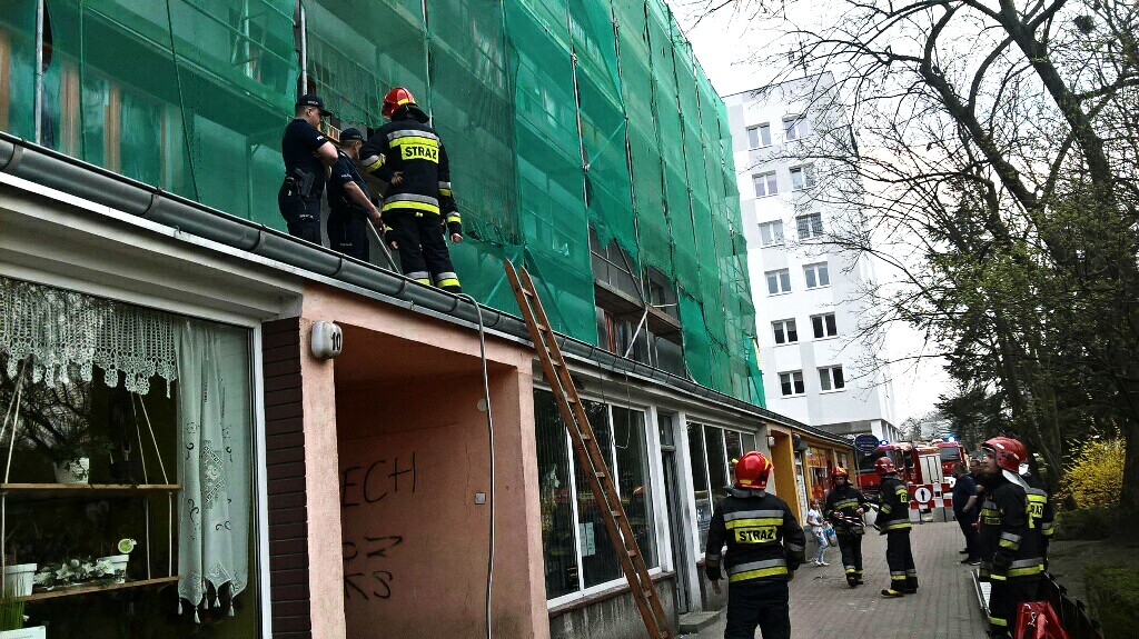 turek - turek.net.pl