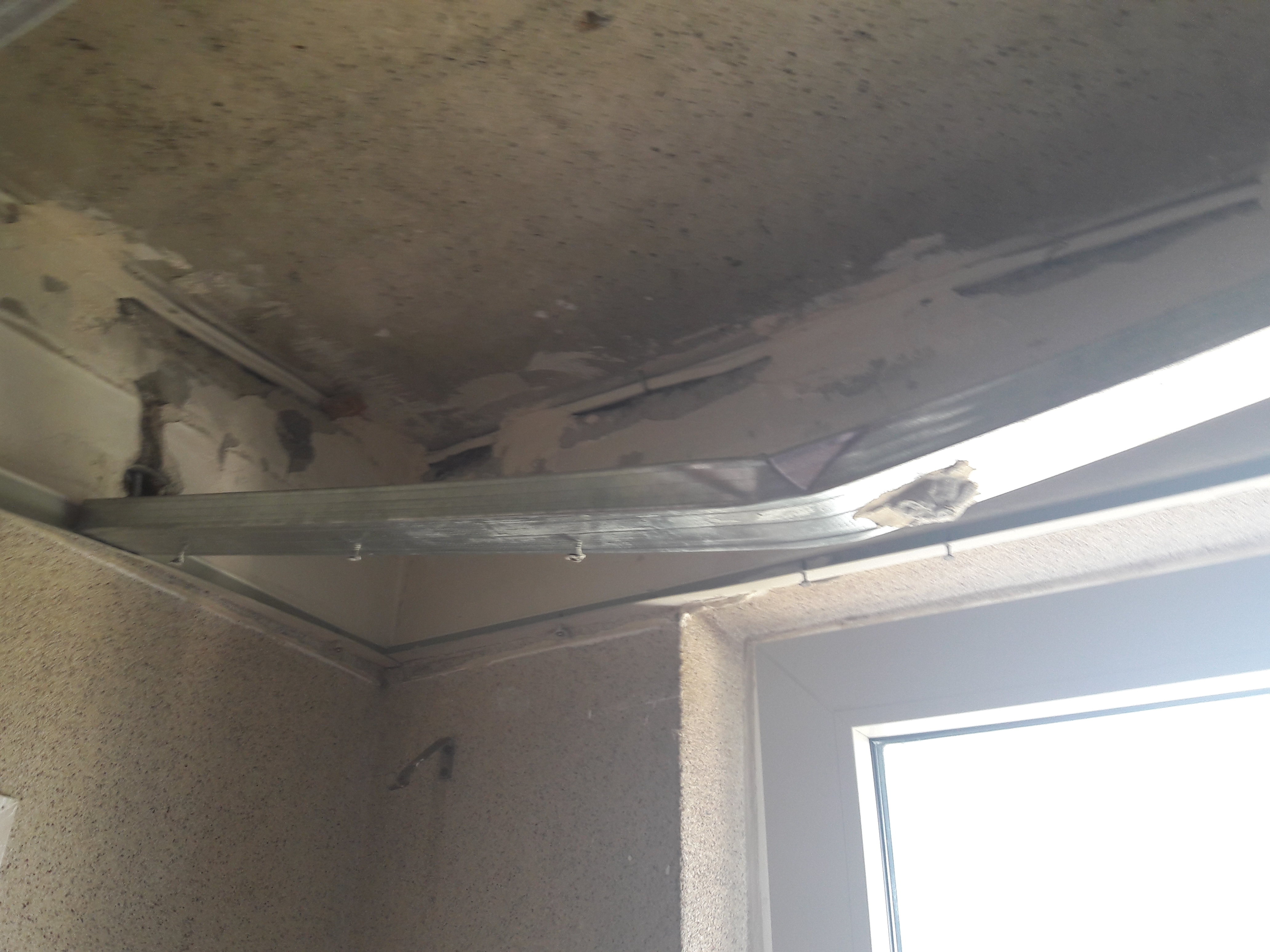 wiezowiec - Aleksandra Braciszewska-Benkahla