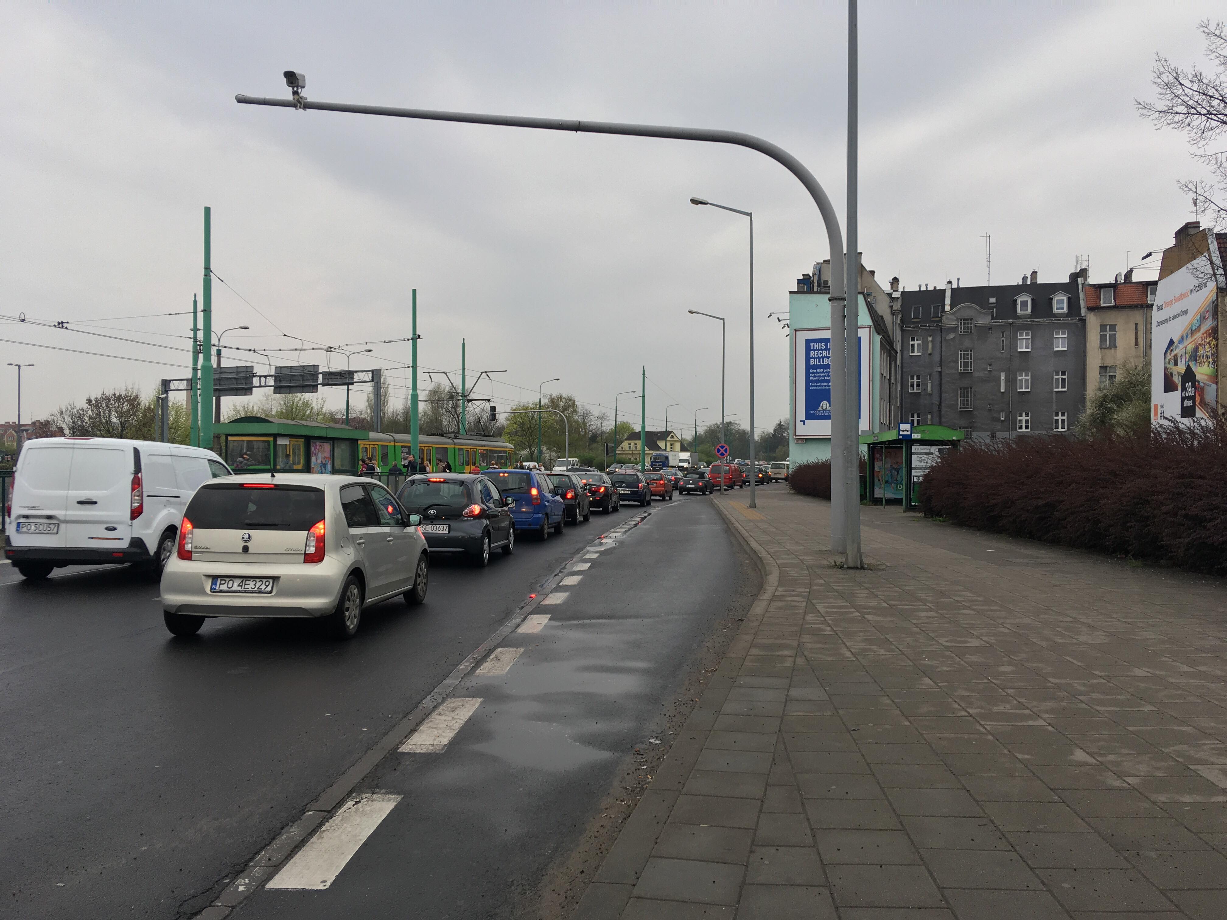 korek śródka poznań - Adam Michalkiewicz