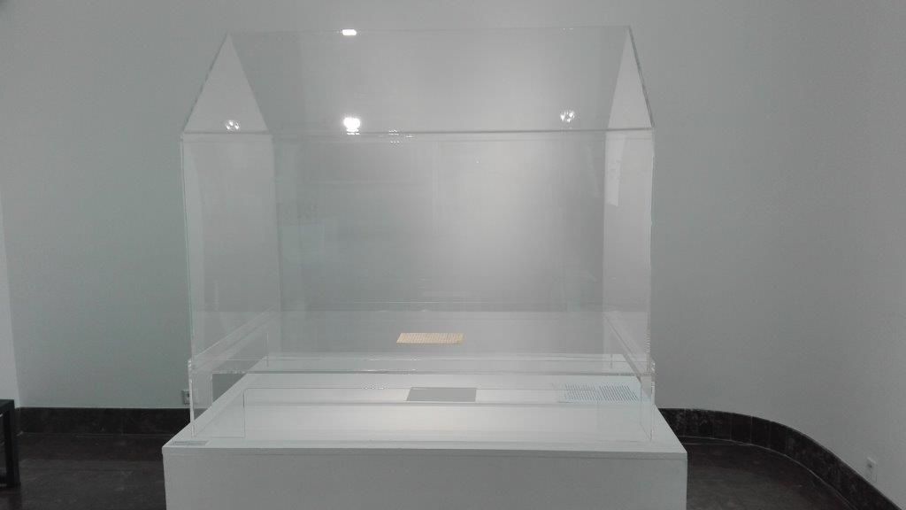 zenona olejniczak wystawa - Maciej Mazurek