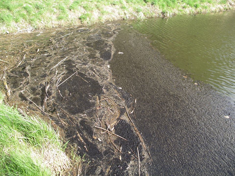 zanieczyszczenia rzeka - Jerzy Juszczyński