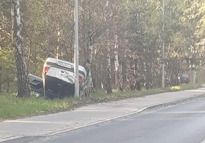 Skórzewo dachowanie - Paulina - Alert Poznań /Facebook/