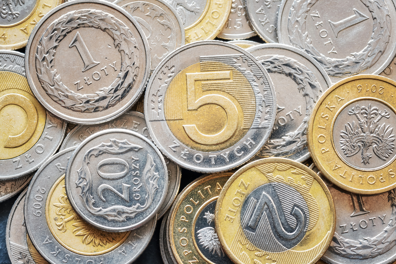 pieniądze złotówka monety bilon - Fotolia