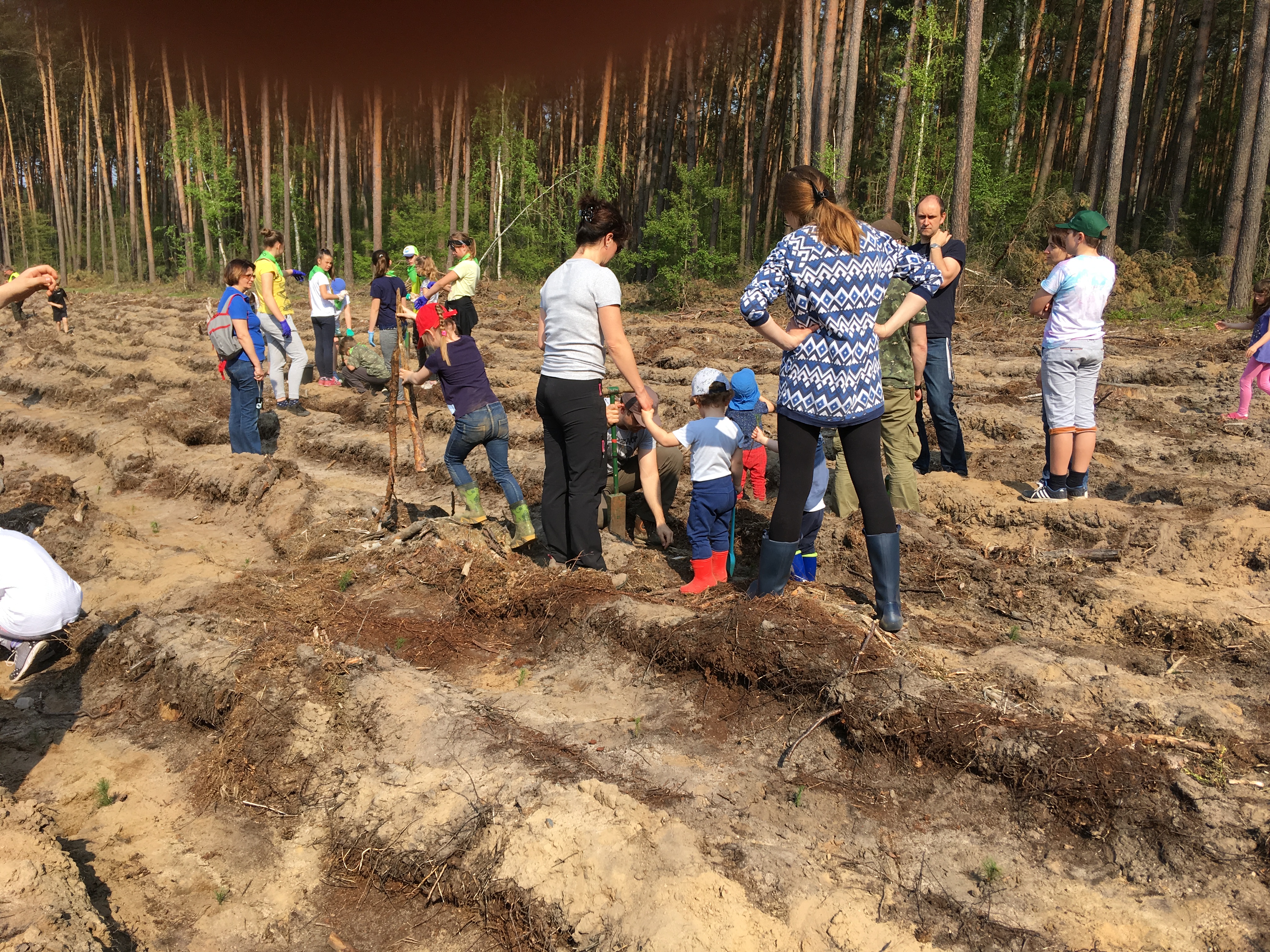 las - Jacek Marciniak