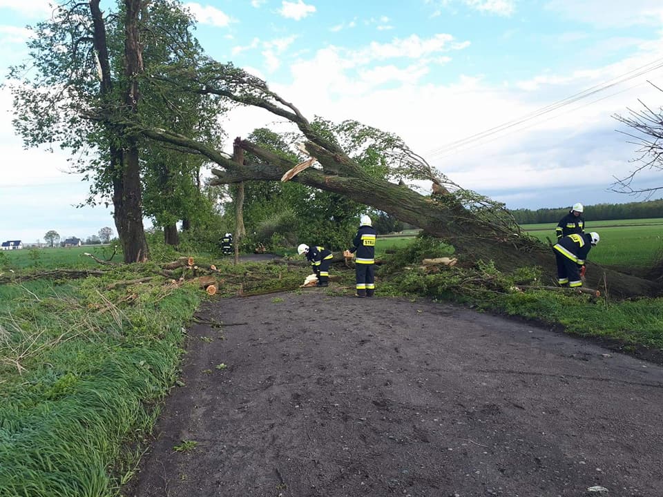 powalone drzewo burze - OSP Parkowo