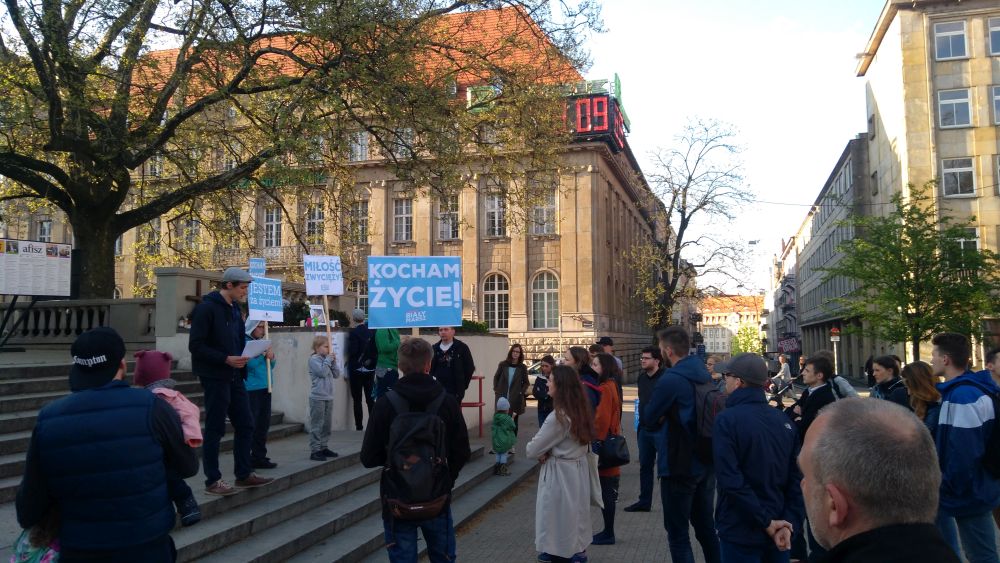 alfiee akcja - Beata Sylwestrzak