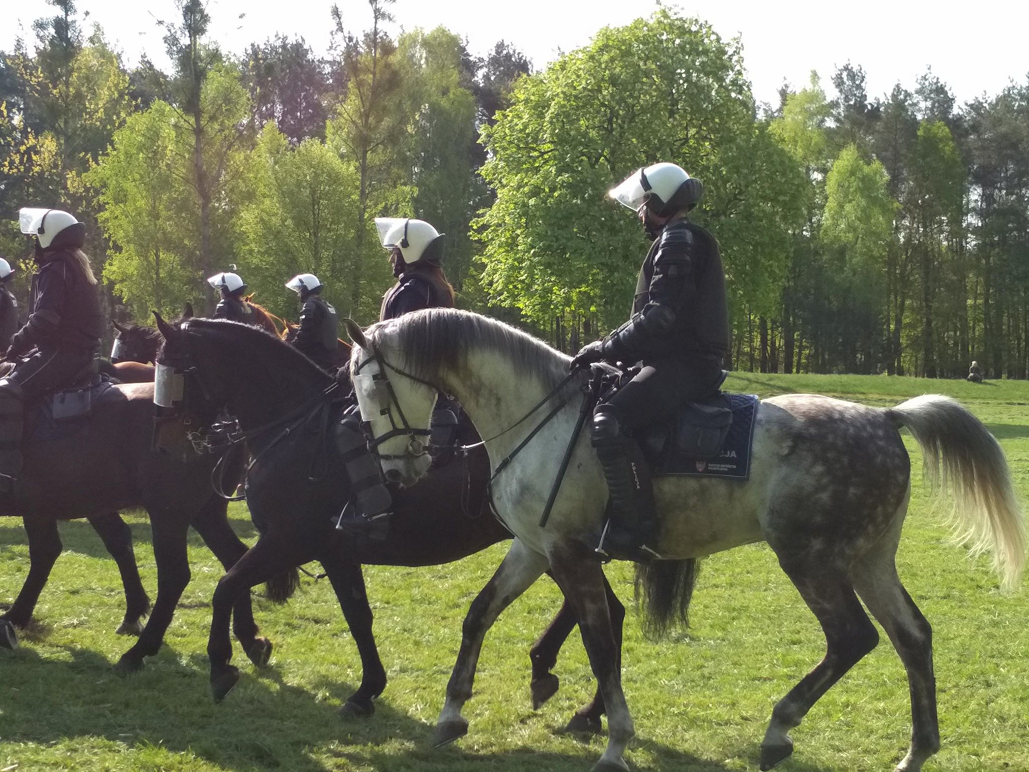 Policja Konna - Kacper Witt