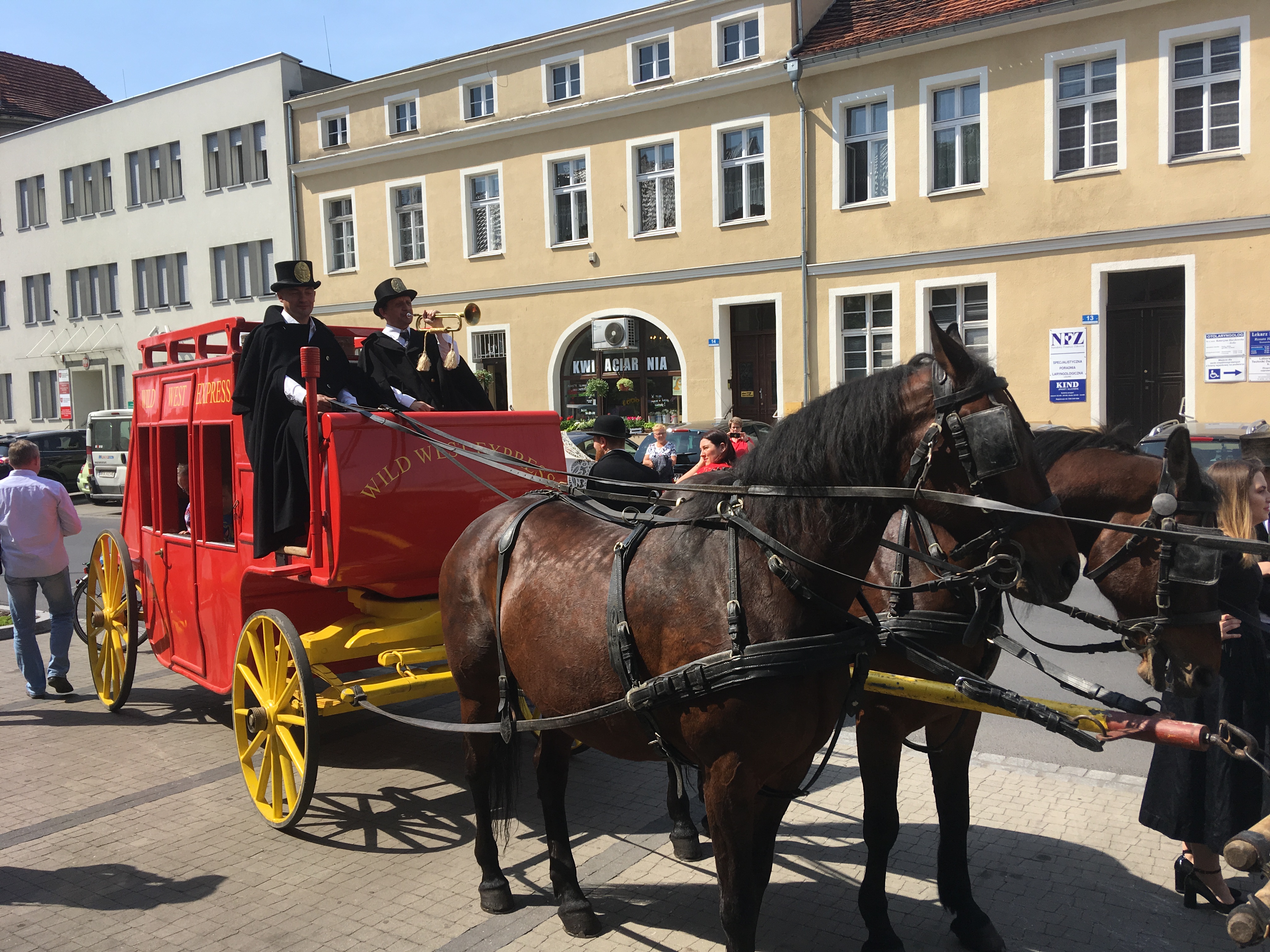 dylizans1 - Jacek Marciniak