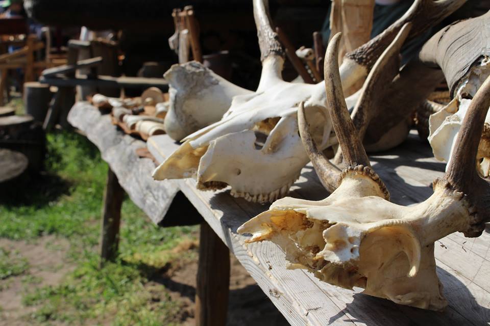 muzeum archeologiczne biskupin majówka - Muzeum Archeologiczne w Biskupinie