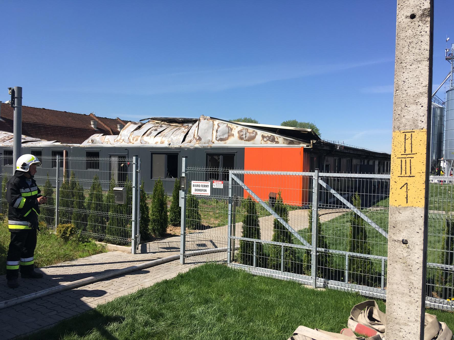 pożar świniarni oborniki wychowaniec - Andrzej Ciborski