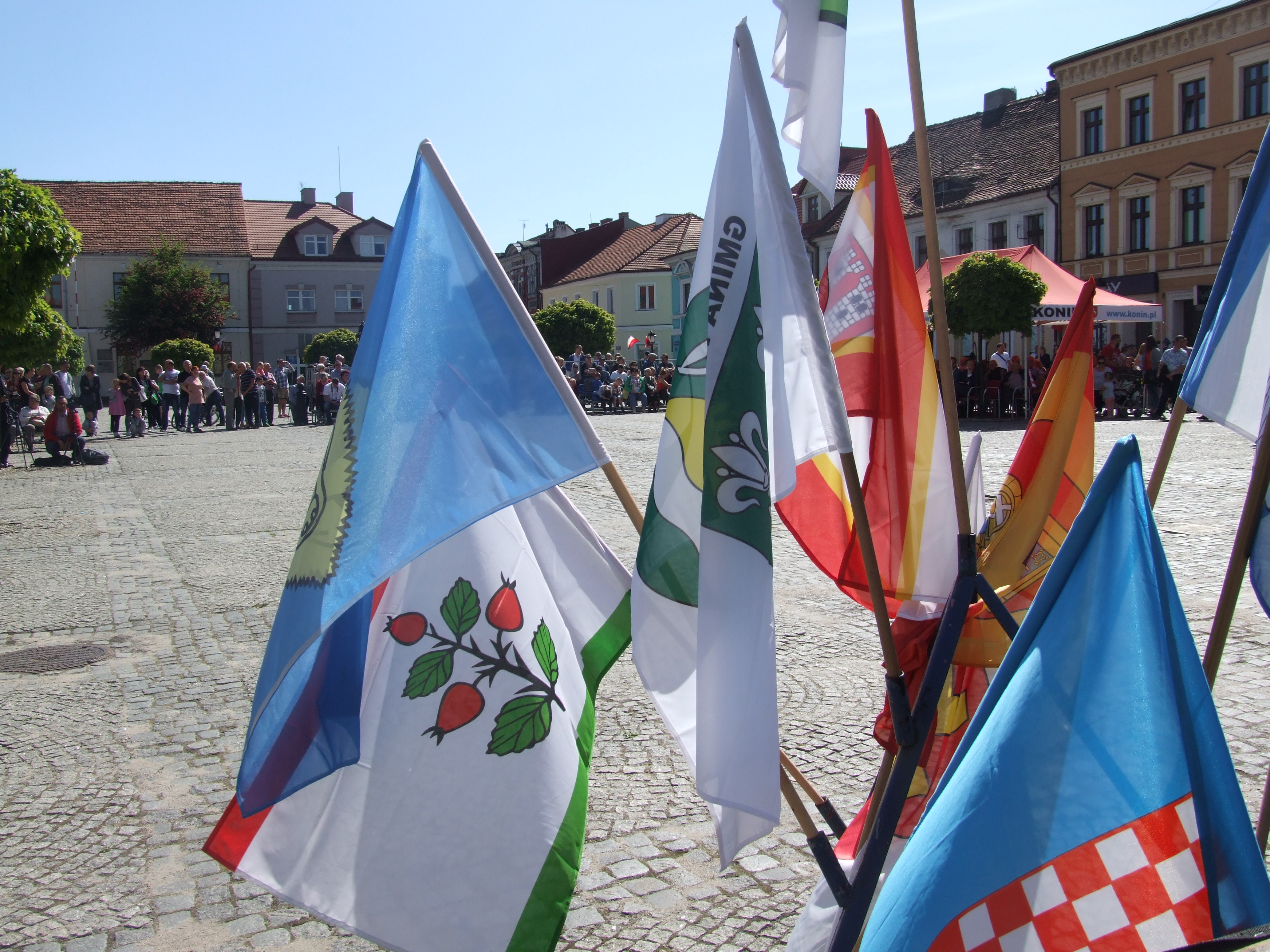 Aleksandra Braciszewska-Benkahla