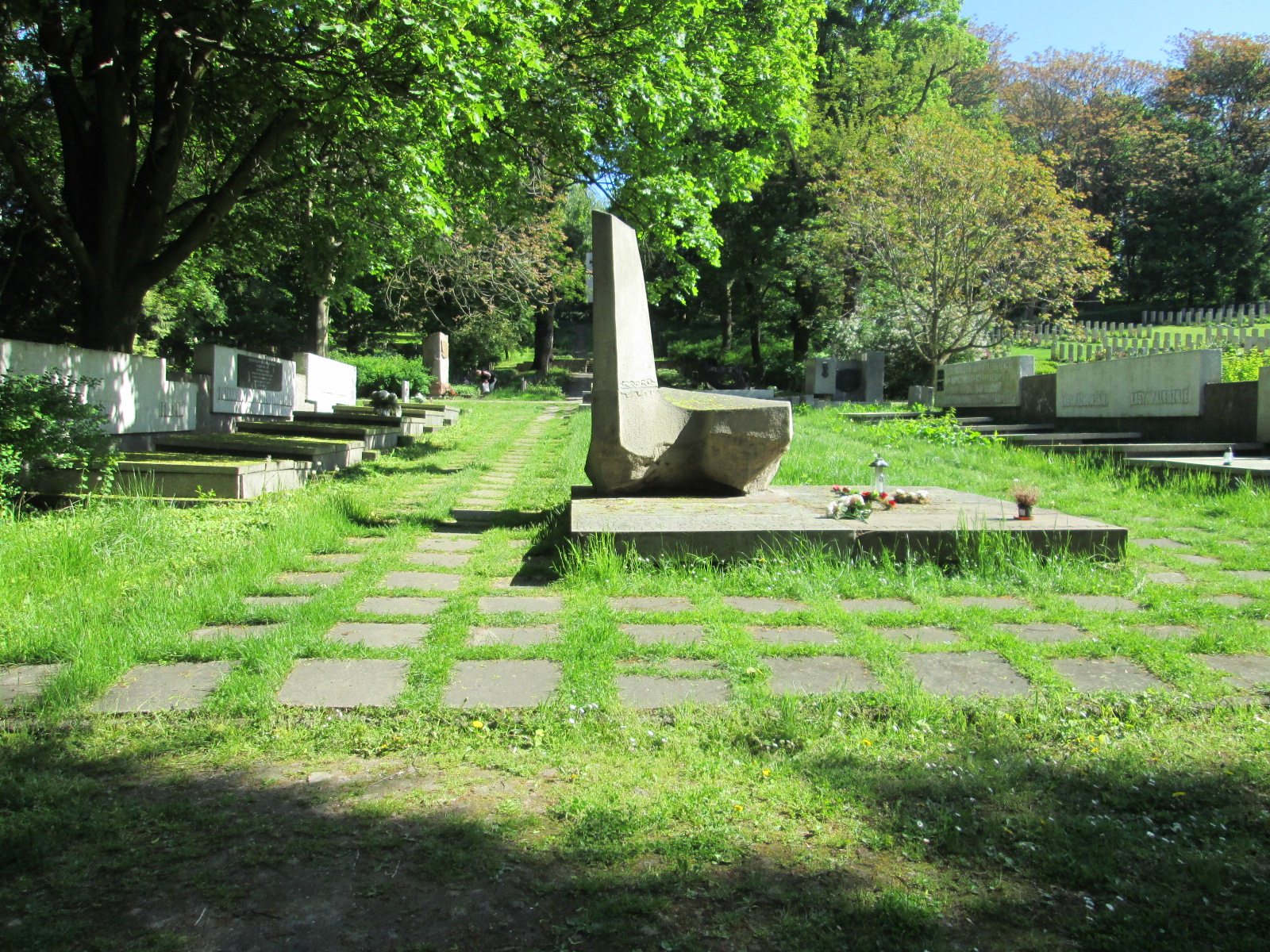 Aleksandra Pietrowicz