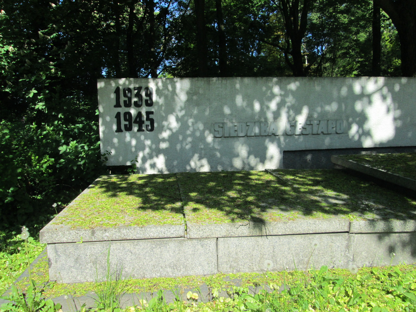 Aleksandra Pietrowicz