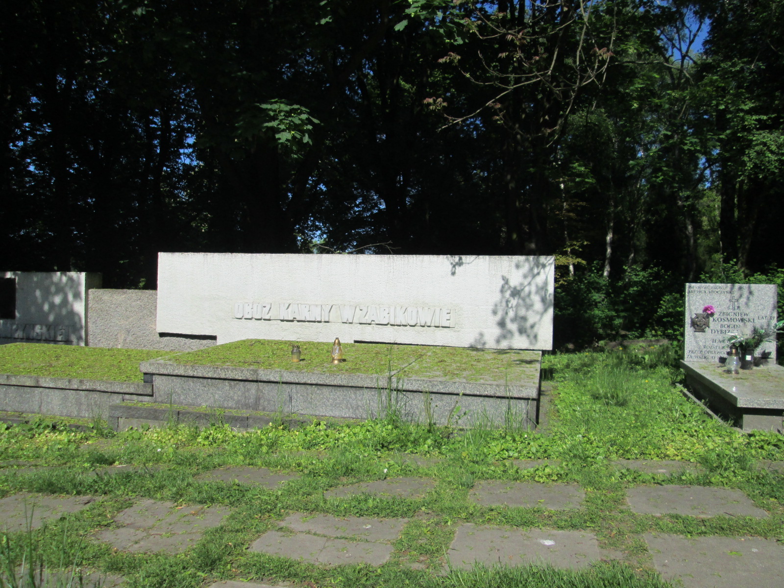 Aleksandra Pietrowicz