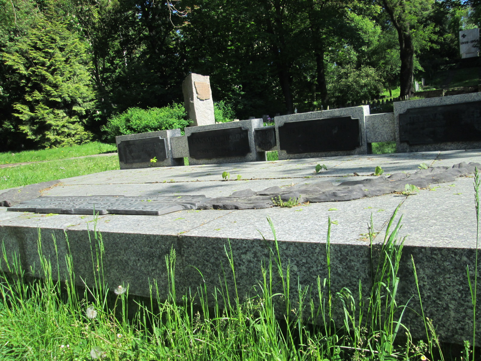 Aleksandra Pietrowicz