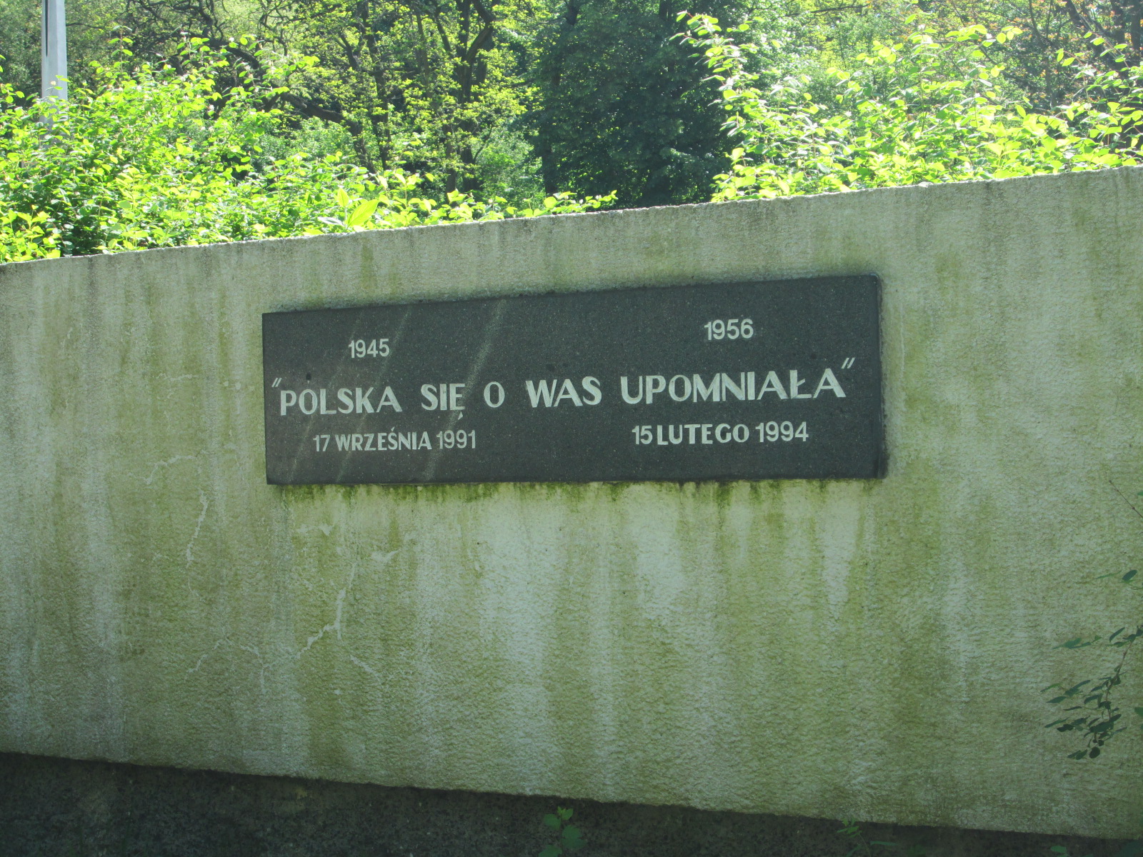 Aleksandra Pietrowicz